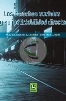 Los derechos sociales y su justiciabilidad directa