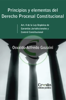 Principios y elementos del derecho procesal constitucional