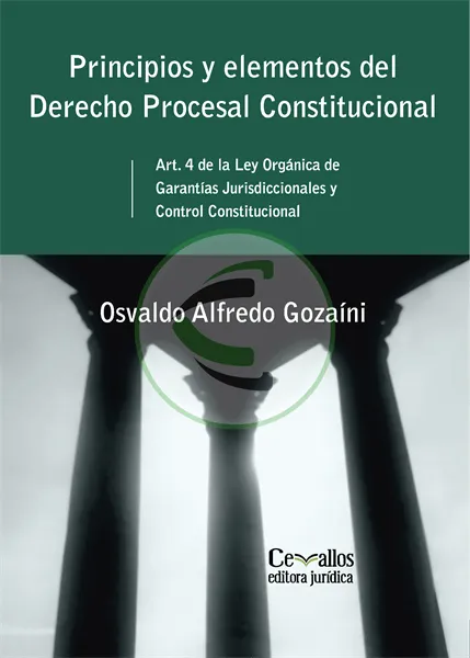 Principios y elementos del derecho procesal constitucional