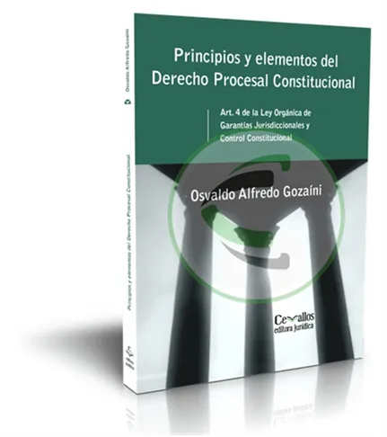 Principios y elementos del derecho procesal constitucional - Imagen 2